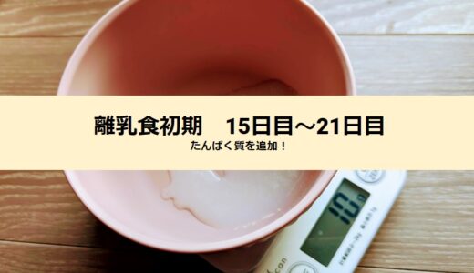 離乳食初期【3週目】15日目～21日目