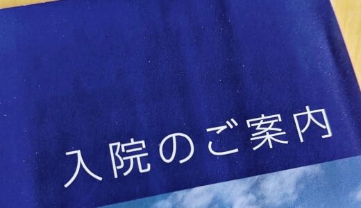 マイコプラズマ肺炎になった（1歳11ヶ月）～入院編（付き添いなし）～