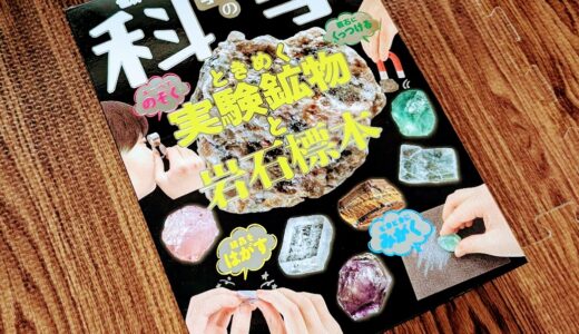 心ときめく！？　本屋で鉱石セットを購入しました