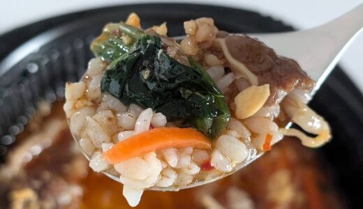 ニップン「いまどきごはん　カルビクッパ」を食べてみた