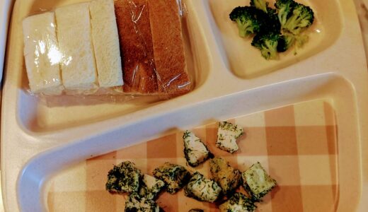 厳しすぎた？ご飯を自分で食べ終わるまで待ったら4時間かかった話