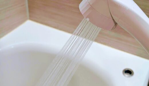 シャワーの勢いがものすごくて優しいミストもでるシャワーヘッド「ビューク」
