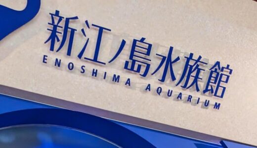 【3歳0ヶ月】誕生日に新江ノ島水族館に行ってきた～かかった費用も～