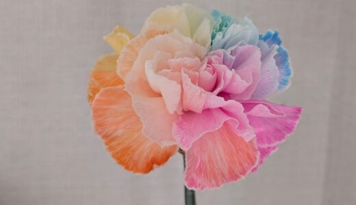 勤労感謝の日で3歳児からお花をもらった話