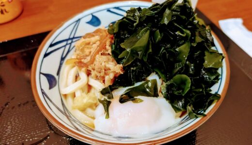 【3歳児】子連れ旅行　羽田空港第一ターミナル「丸亀製麺」を食べた