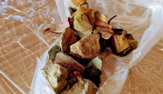 【3歳児】お散歩からの石のお土産、私の処分方法