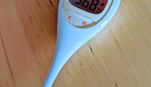 【3歳児】お風呂の前に毎日体温測定を日課に