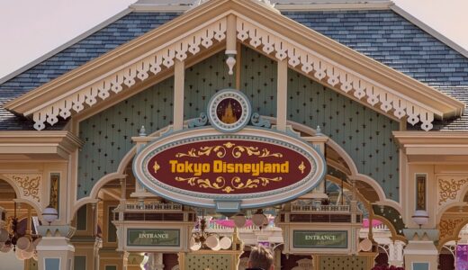 【3歳児・子連れ】一泊ディズニー旅行　～持ち物編～