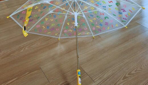 【3歳】ついに傘を買ってあげました。周りが見えるビニール傘にした