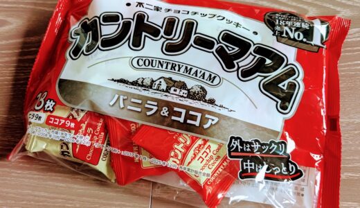 【幼稚園ハロウィン】親のミッション発動！お菓子選びでまさかの大苦戦！？